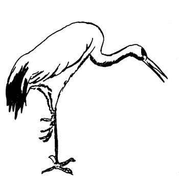 Visualize how a crane walks