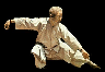 Master Cheng man-ch'ing 4-DVD Set